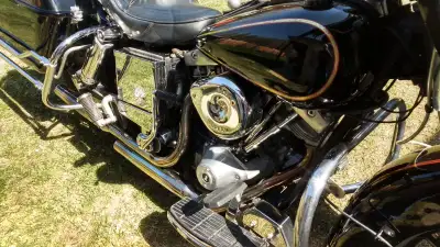 1981 FLH strong runner