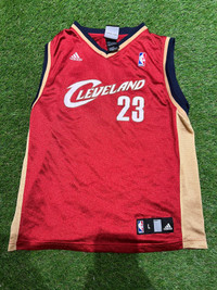 Kevin Love Autographed Cleveland Cavaliers Away Swingman Jersey - XL +2