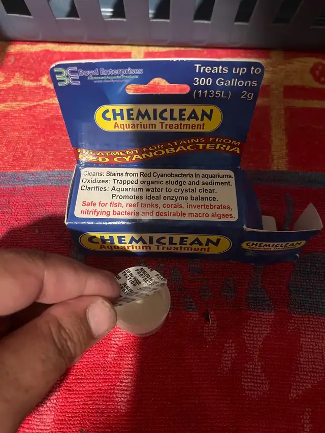 Chemiclean  in Fish for Rehoming in Kingston - Image 4