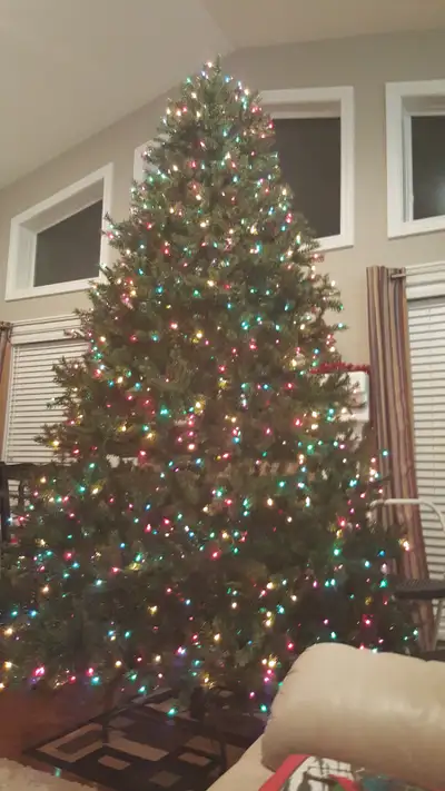 Originally purchased in 2014 from Balsam Hill in California this equisite 9 foot tree was not a spar...
