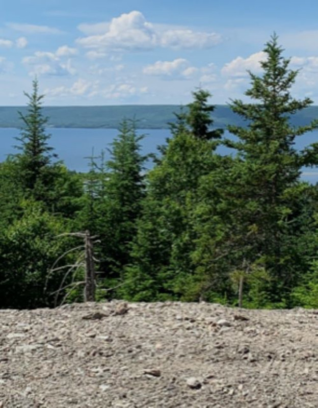 28 Acres Overlooking Bras D’or Lake, Cape Breton, Nova Scotia in Land for Sale in Cape Breton - Image 2