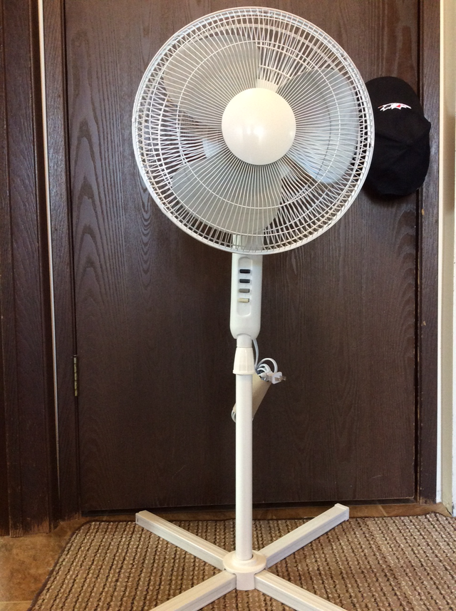 PEDESTAL FLOOR FAN539802478209945601