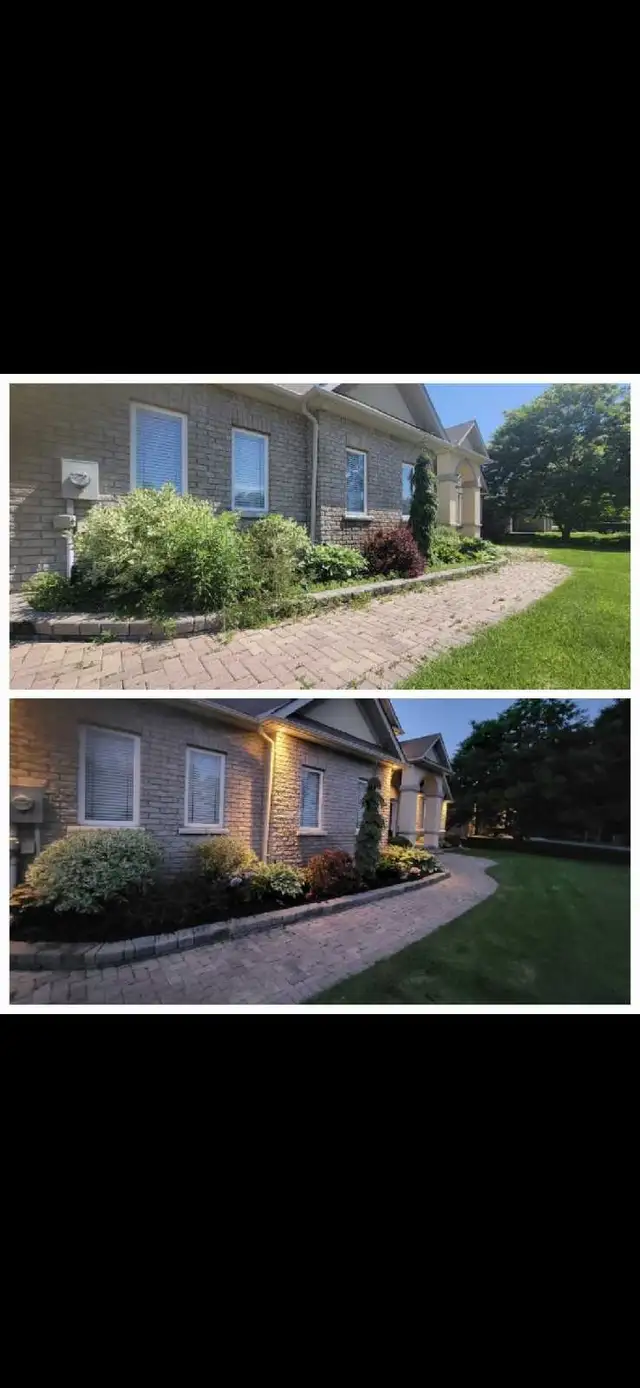 Snow Removal64529142964482121