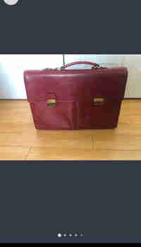 Danier Leather Briefcase