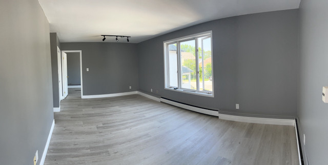 2 Bed 1 Bath Apt. for Rent in St. Catherines - Newly Renovated! in Long Term Rentals in St. Catharines