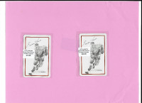 Vintage Hockey Collectible: 1978  Gordie Howe playing card