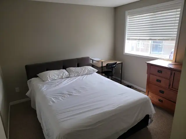 Room for rent in quite peaceful house in Kitchener Ontario in Room Rentals & Roommates in Kitchener / Waterloo - Image 2