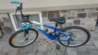 Raleigh mountain bike bicycle 