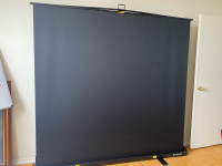 Pre-owned Raubay large projector screen