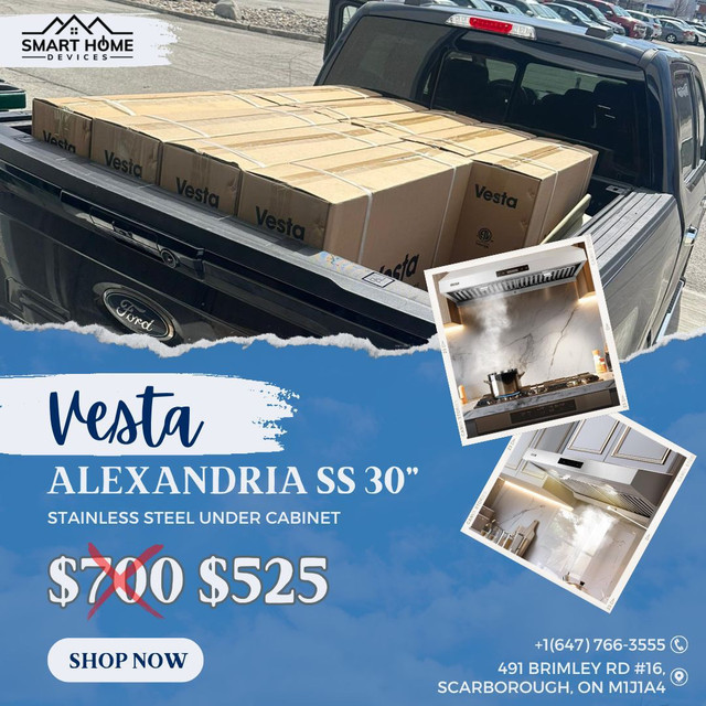 Vesta Alexandria 30” Stainless Steel Rangehood in Stoves, Ovens & Ranges in City of Toronto