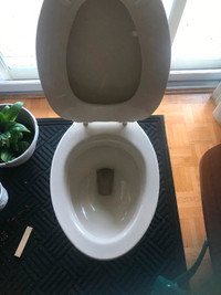 Free American Standard Toilet
