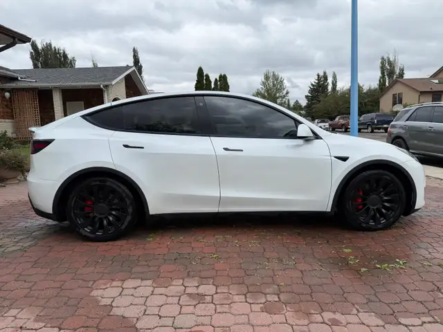 2020 Tesla Model Y Performance AWD558834001684080641