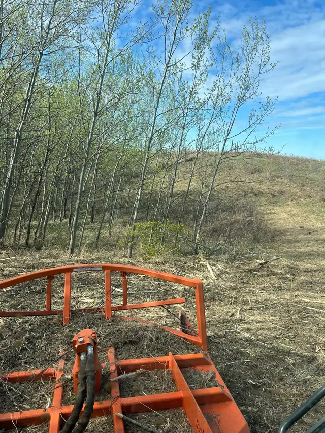 Mulching and Heavy Brushing 62864358366723124
