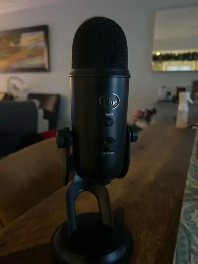 Yeti Blue Microphone - Black colorway, View more