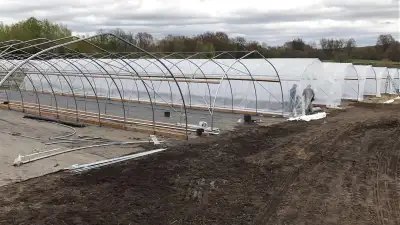 20x96 greenhouses for sale. great time to grow your own food or start a business mint condition gree...