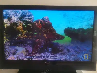 TV PIONEER KURO PDP-6020 FD 60inches, View more