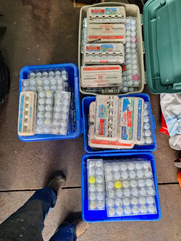 Golf balls collection in Golf in Ottawa - Image 4