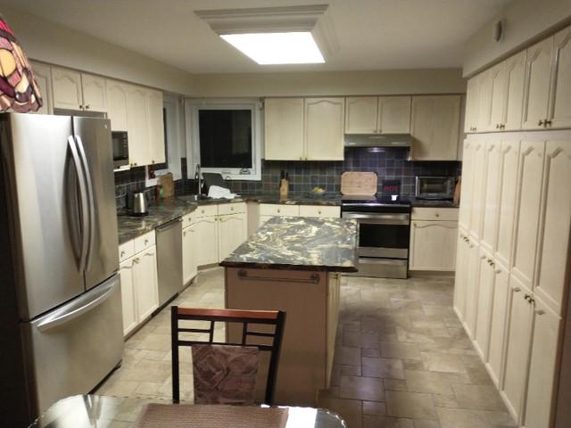Kitchen cabinet and island for sale - July Availability in Cabinets & Countertops in London