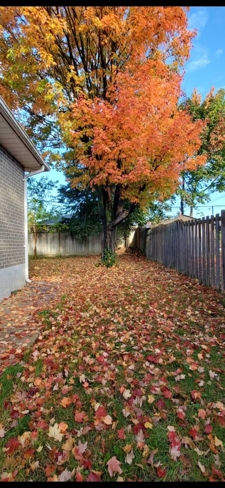 super quiet clean furnished room For rent Brampton 4
