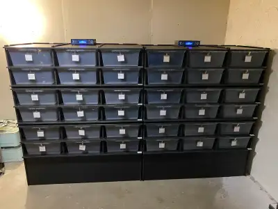 2 reptile racks (3 parts each) + thermostats ($1465 OFF!), View more