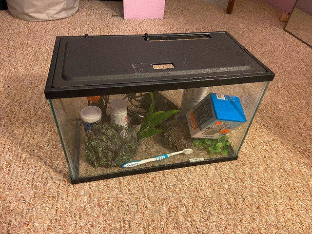 5 Gal Fishtank + Supplies in Accessories in Tricities/Pitt/Maple