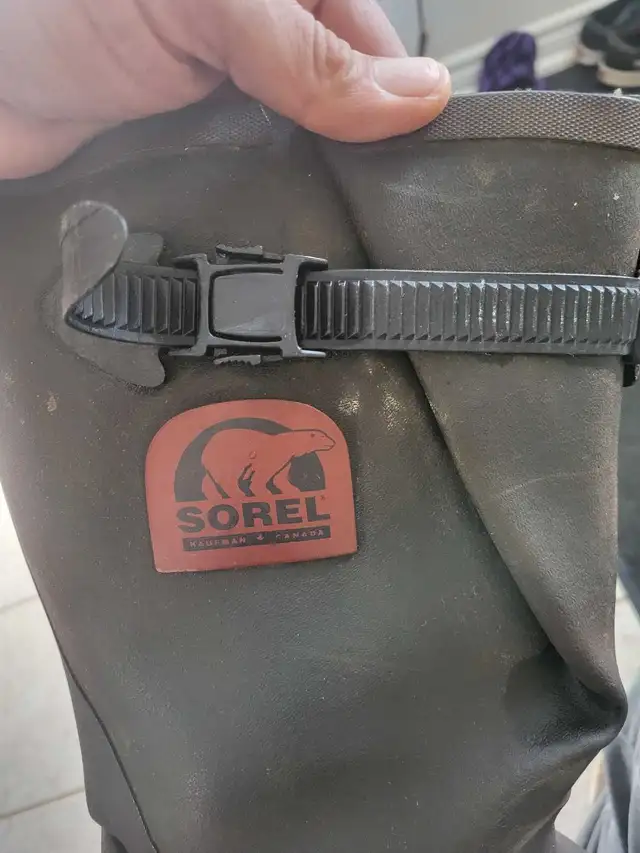 Sorel Boots64667462146051122
