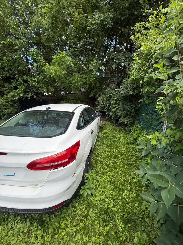 2015 Ford focus-As is564717193234360322
