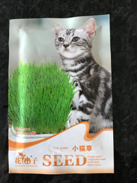 Seeds cat's grass.