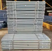 Heavy Duty Galvanized or Paint surface Shoring systems.