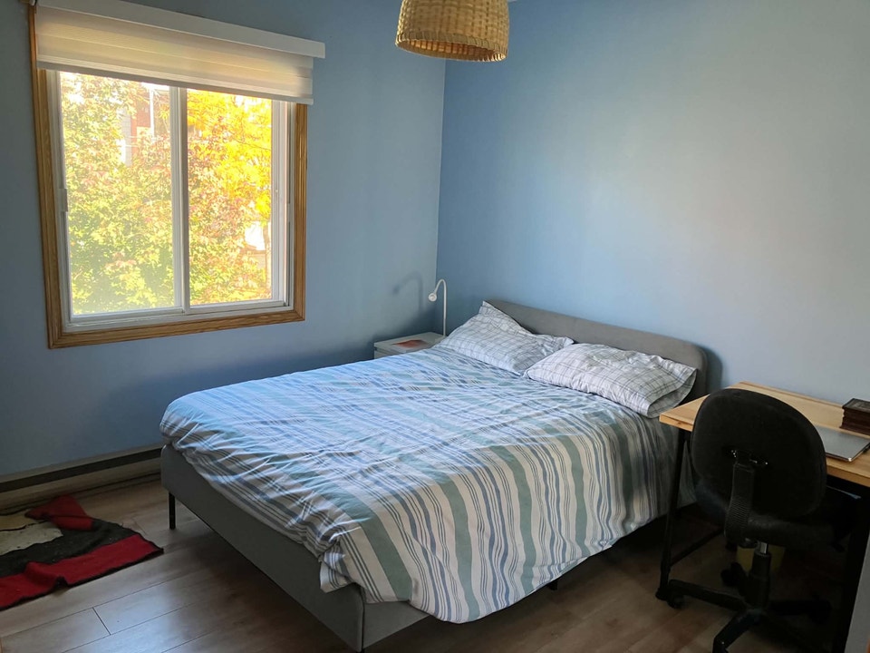 Beau 3 ½ à louer, lumineux et chaleureux 3
