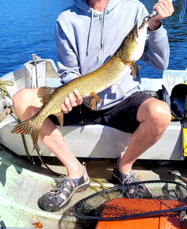 ⭐Muskoka Lakefront Cottage for Rent⭐ Great Fishing! in Ontario in Canada - Image 3