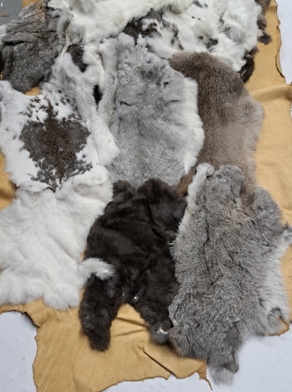 Rabbit Pelts - Free Shipping Anywhere in Canada! Vancouver in Hobbies & Crafts in Vancouver
