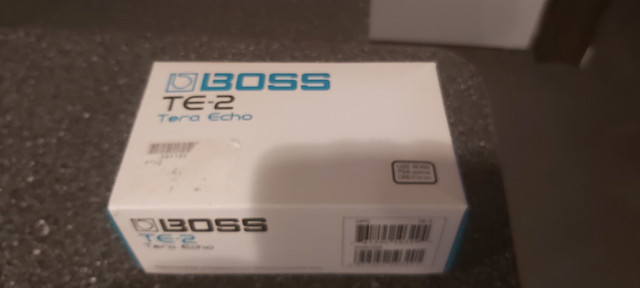 Boss tera echo in Amps & Pedals in Kawartha Lakes