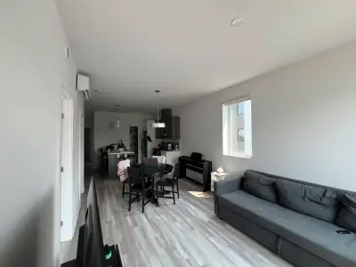 3 Bedroom Apartment (amenities and WiFi included)