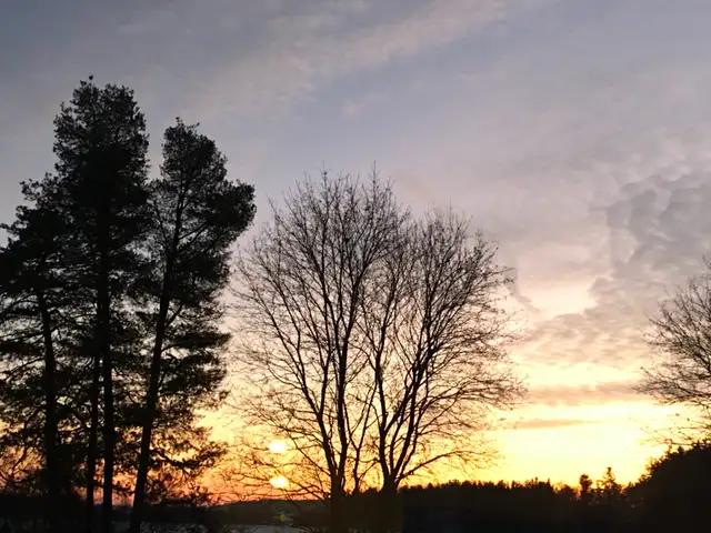 Home-share Caledon Country