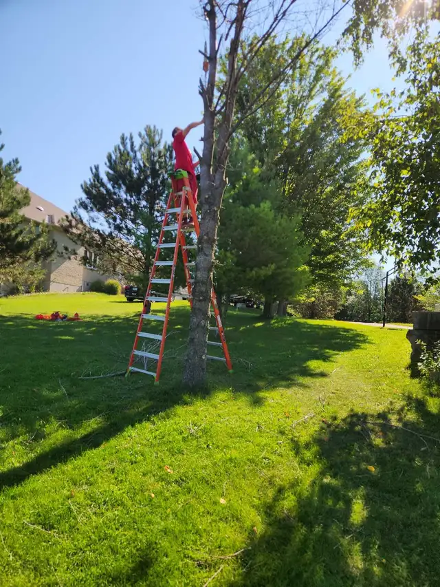 Snow Removal & Property Maintenance 566525067758161925