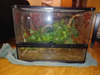 Exo Terra enclosure- includes heat mat perfect condition, View more