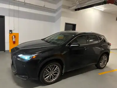 Selling my barely used 2024 Lexus NX 350h Hybrid in Caviar (deep black) with the Luxury Package. Thi...