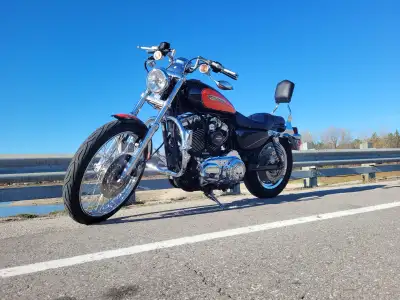 Clean 2008 1200XL Sportster, 50th anniversary model. US bike, low miles. Well maintained, always sto...