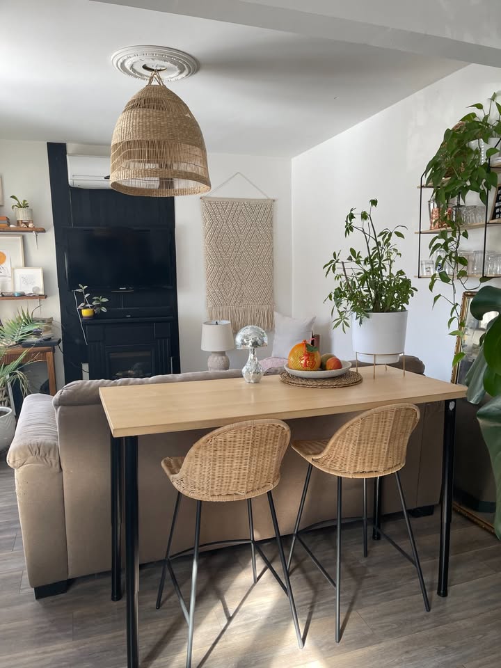 VIEUX-LONGUEUIL | 1 CHAMBRE | RÉNOVÉ | DISPONIBLE POUE SEPTEMBRE — photo 1