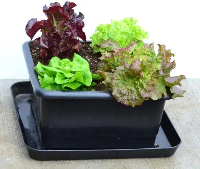 UrBin Grower 1 Unit Kit with extras, View more