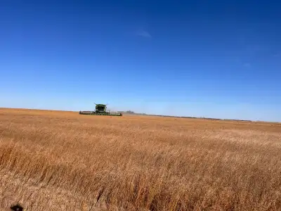 Flax straw for sale Baled with Deere 560M / 5x6’ Round. Roughly 450 available. Located in RM223 near...
