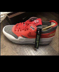 Nike Air Max 1 / Clot Shoes 