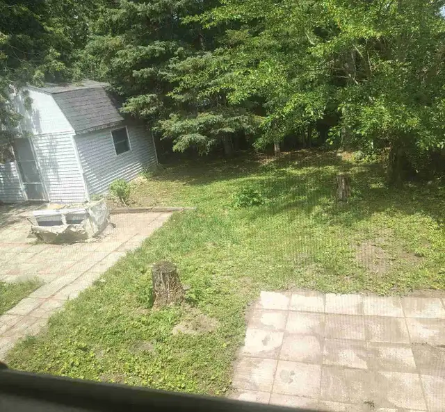  FALL YARD CLEANUPS – STARTING AT JUST $99! 