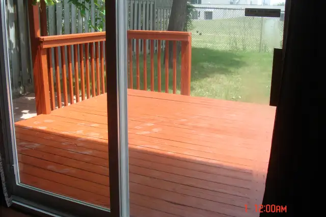 1 bright room for rent close to Seneca College in Finch and 401 in Room Rentals & Roommates in City of Toronto - Image 5