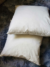 Pair of down filled, square, soft pillows