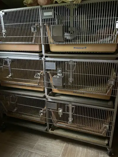 Cage ALLENTOWN, robuste Pour chats, chiens , lapins ou autres