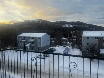 Agréable logement 5 1/2 à louer, toujours ensoleillé, dans un secteur paisible, sécuritaire, proche...