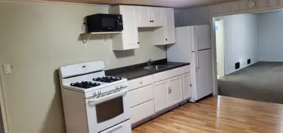 1 bedroom, independent basement apartment available Nov 1st in a quiet clean neighborhood. Spacious,...