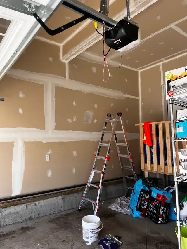 professional painter63005662392321121